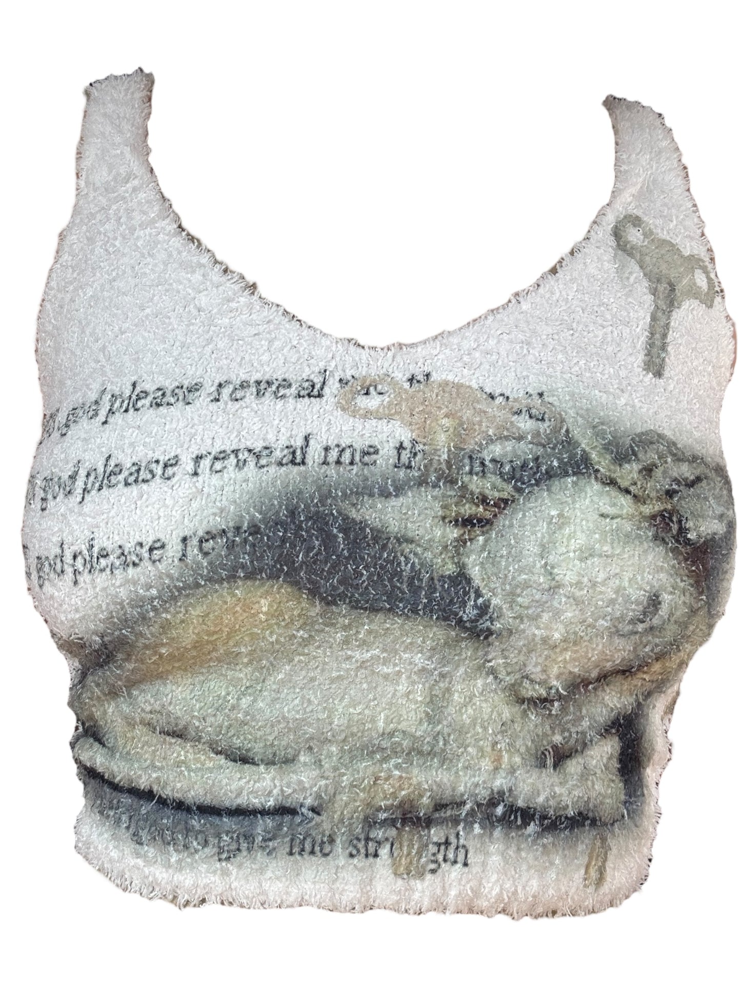 God, Please Reveal Me the Truth Fuzzy Tank - S/M