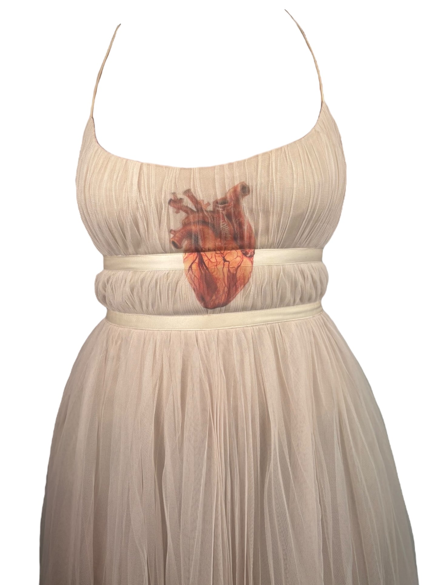 Angel's Bleeding Heart Tulle Formal Dress - S/M