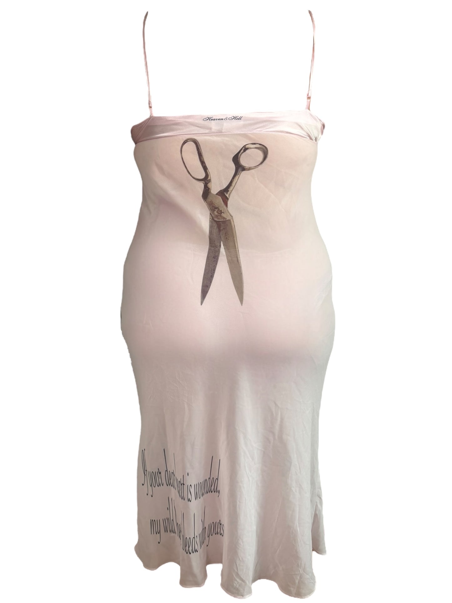 My Dear Heart Pink Sheer Dress - XL
