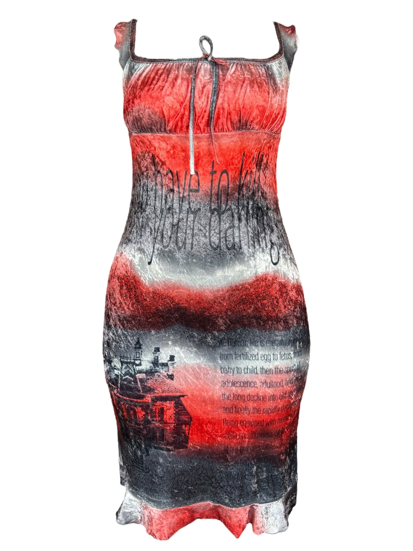 Kill Your Darlings Velvet Ombre Dress - M