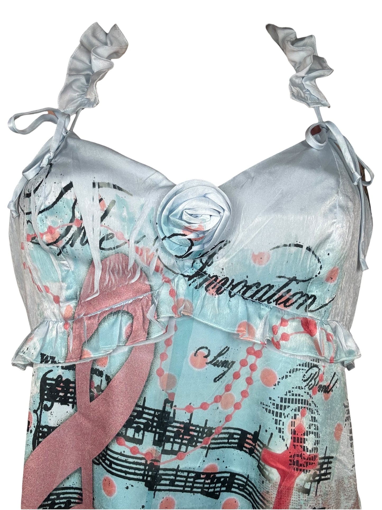 Toyland Dream Blue Rose Dress - 2X