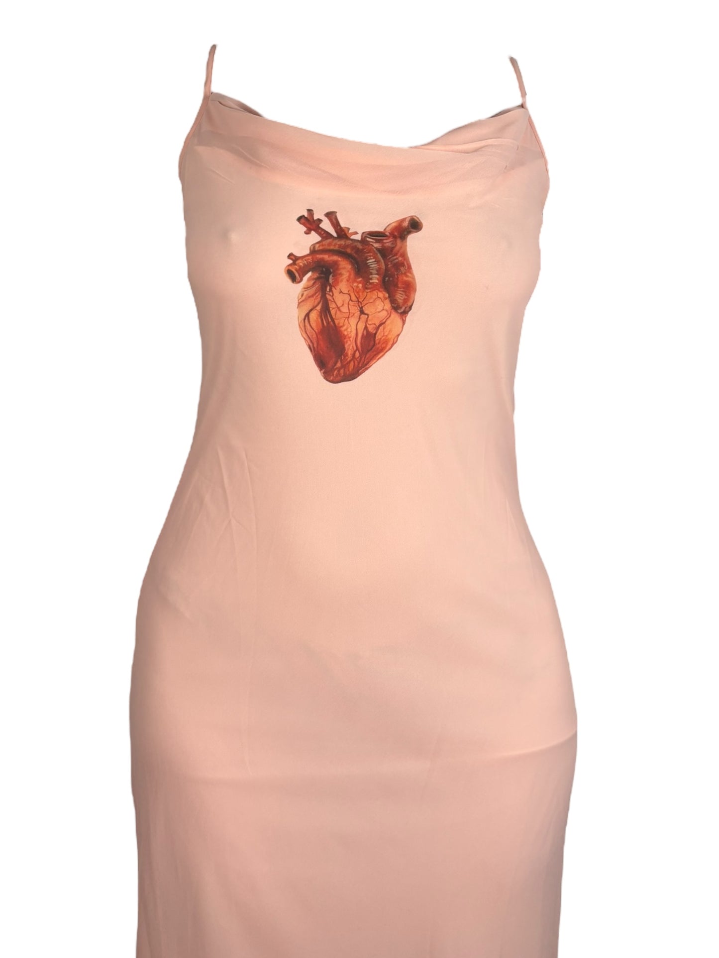 Angel's Bleeding Heart Peach Formal Dress - S/M