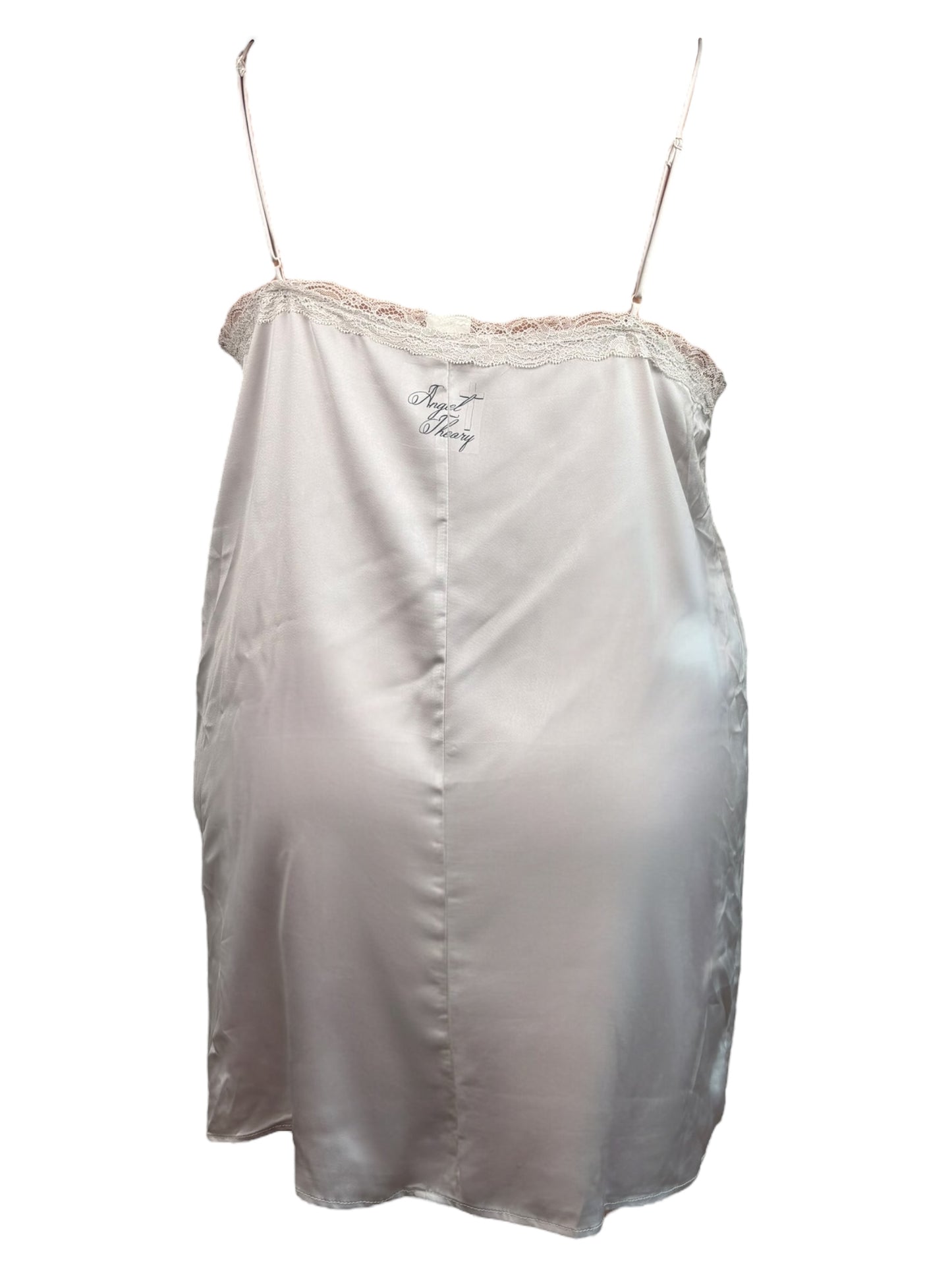 Has Anyone Else Died For You? Grey Slip Dress - 3X