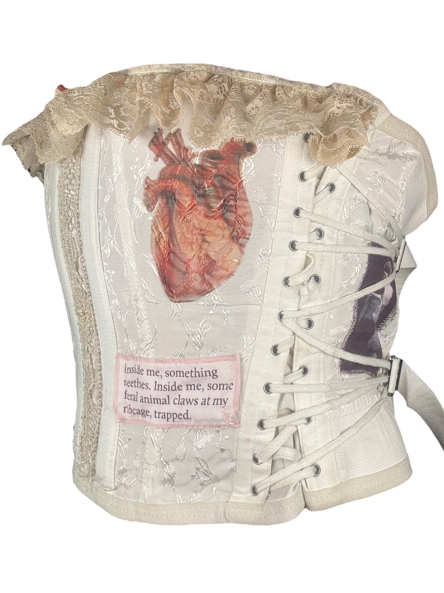 Feral Instinct 1960's Fan Laced Corset - XL