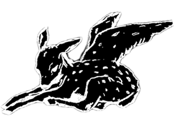 Angel Theory